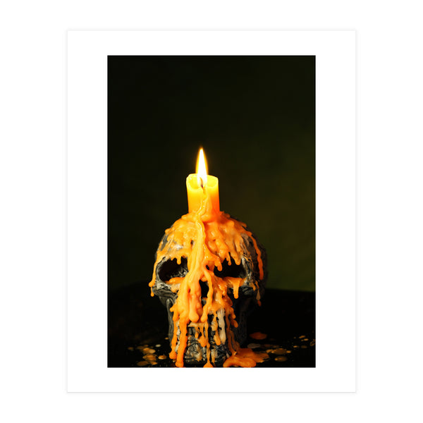 Skull  (Print Only)