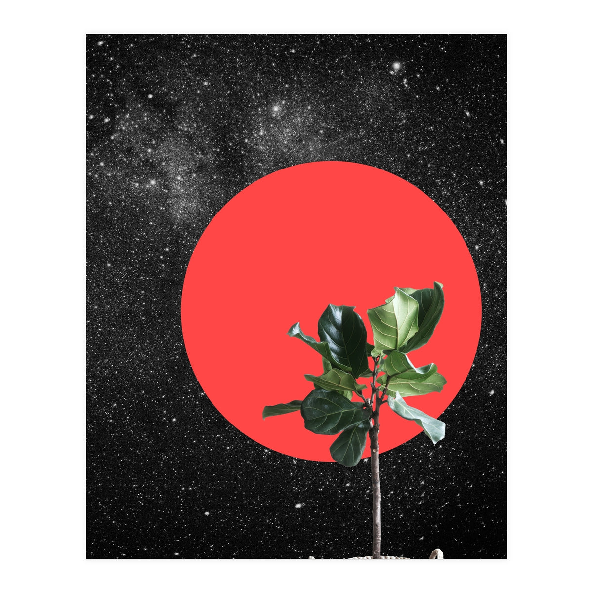 "Bonsai" - Digital Collage (Print Only)
