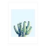 Cactus (Print Only) thumbnail