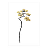 Bonsai Tree 05 (Print Only) thumbnail