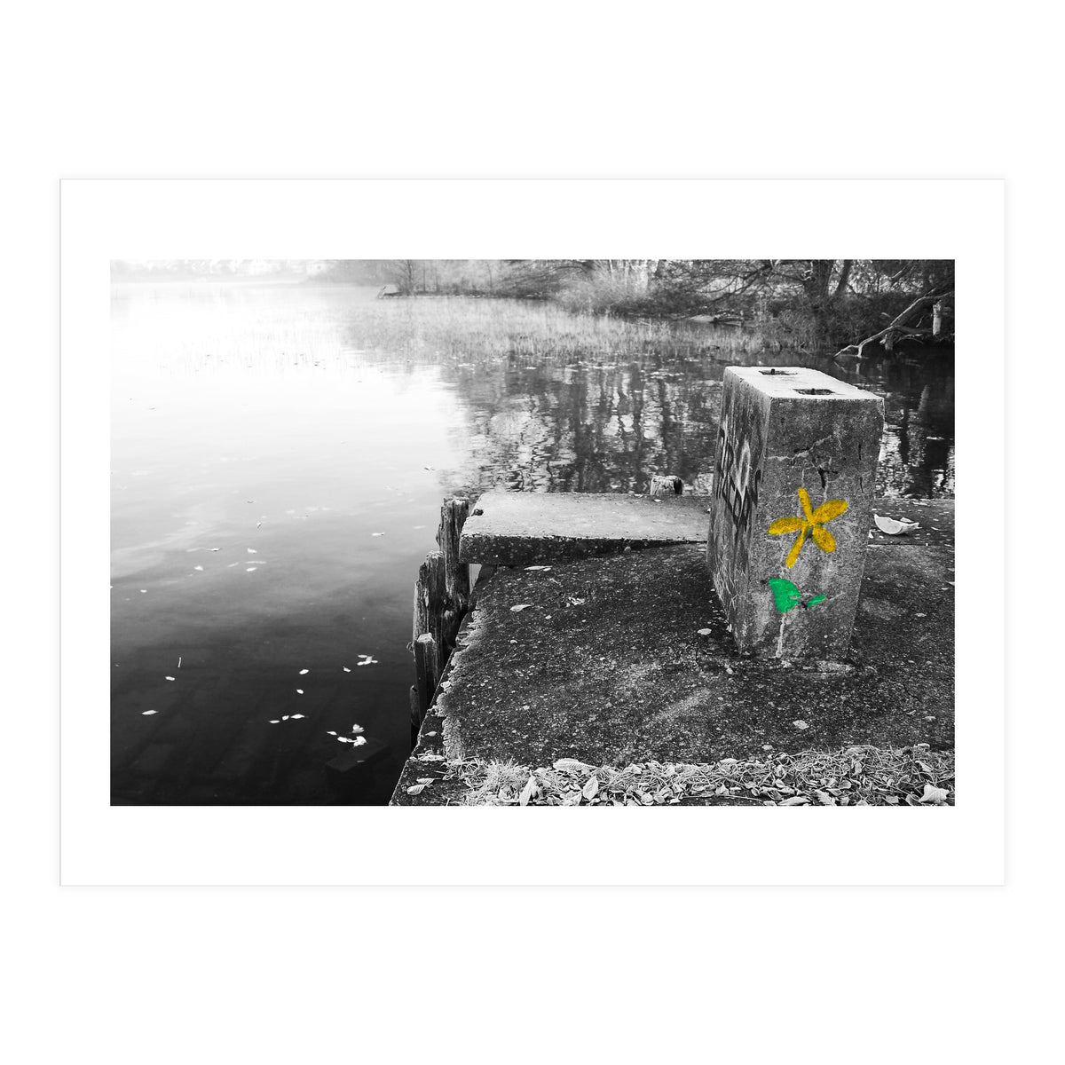 Frozen Ground Yellow Flower Street Art (Print Only)