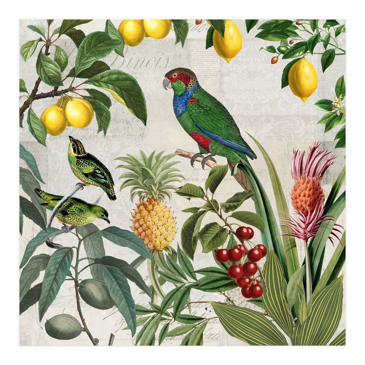 Fruit Paradise (Print Only)