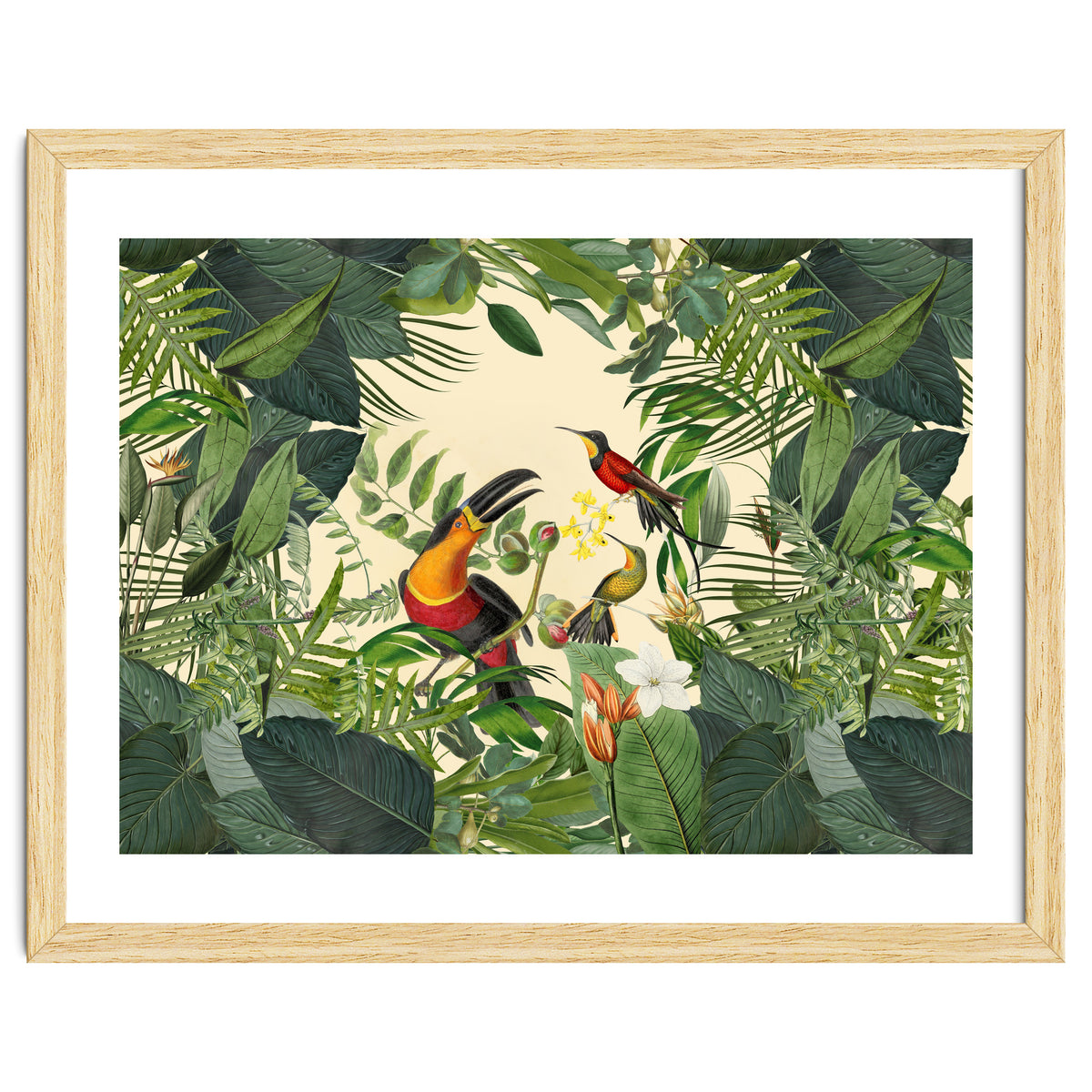 Green Jungle Toucans 2