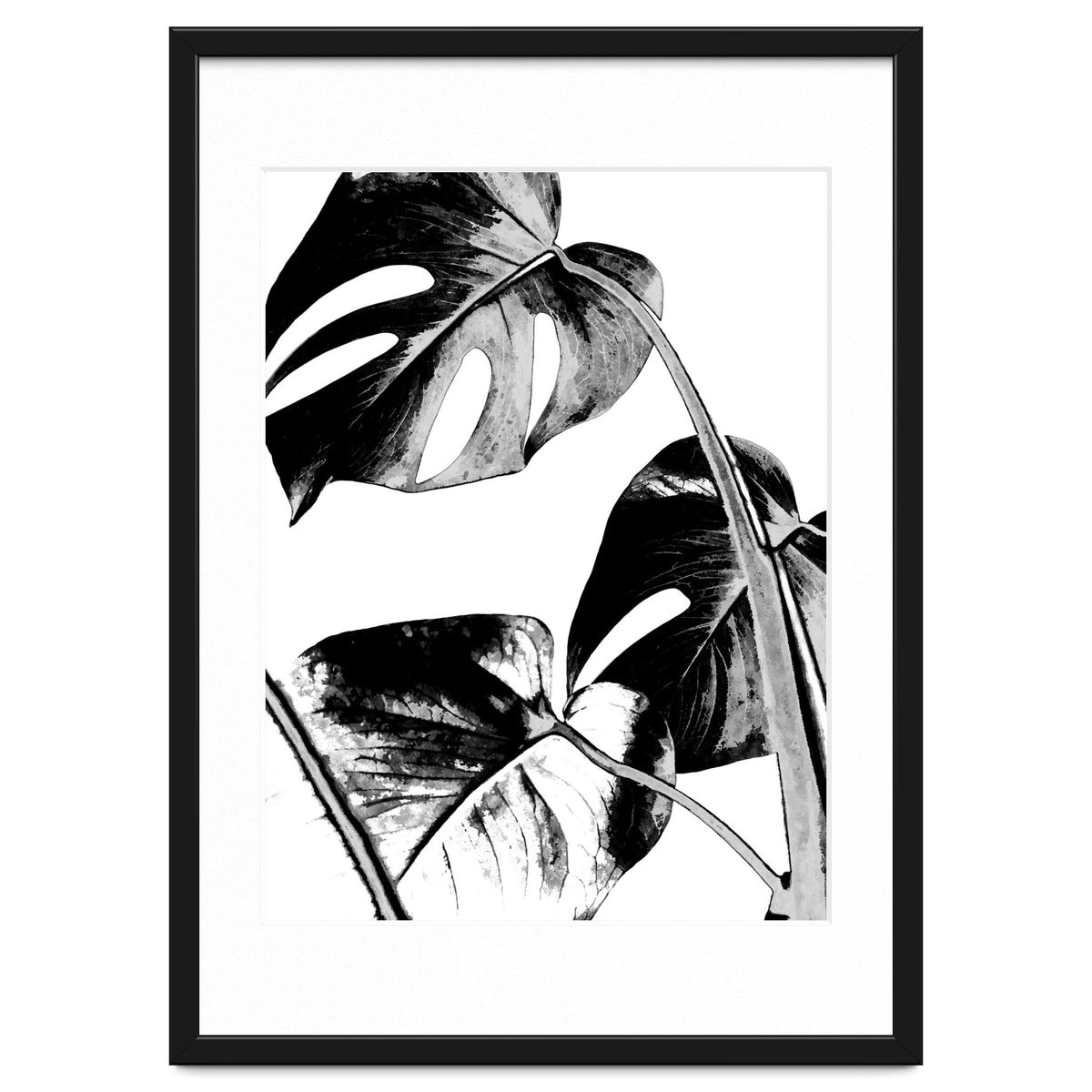 Black Tropical Leaves