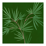 Abstract Palm (Print Only) thumbnail