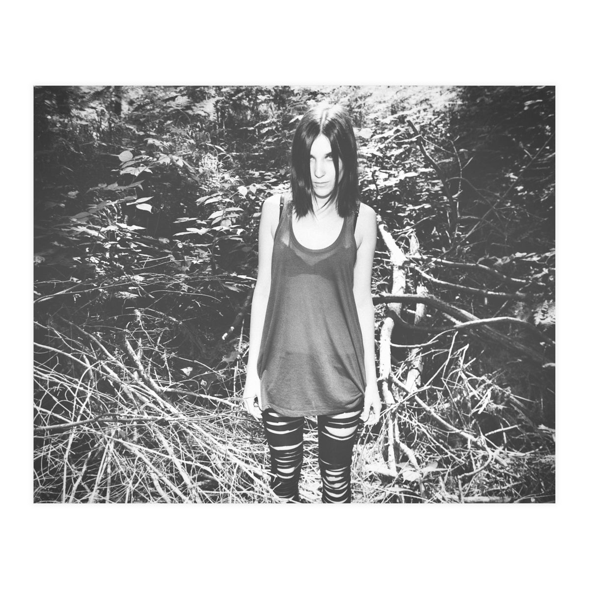 Camouflaged Animals (Print Only)