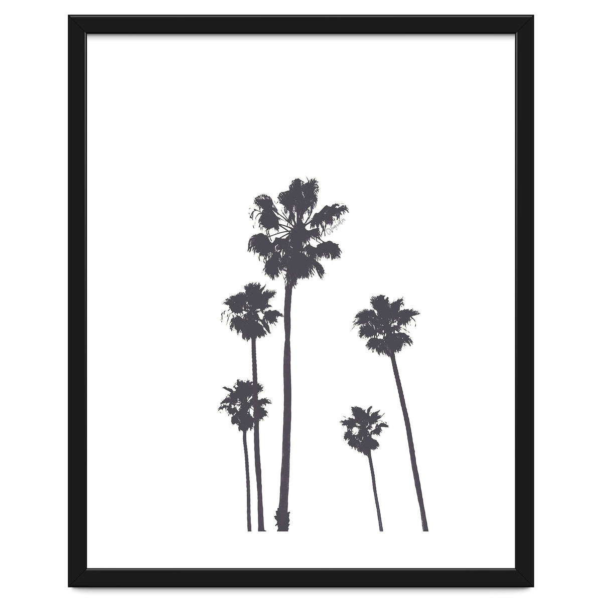 Palms & Sunset-Minimal B&W 2