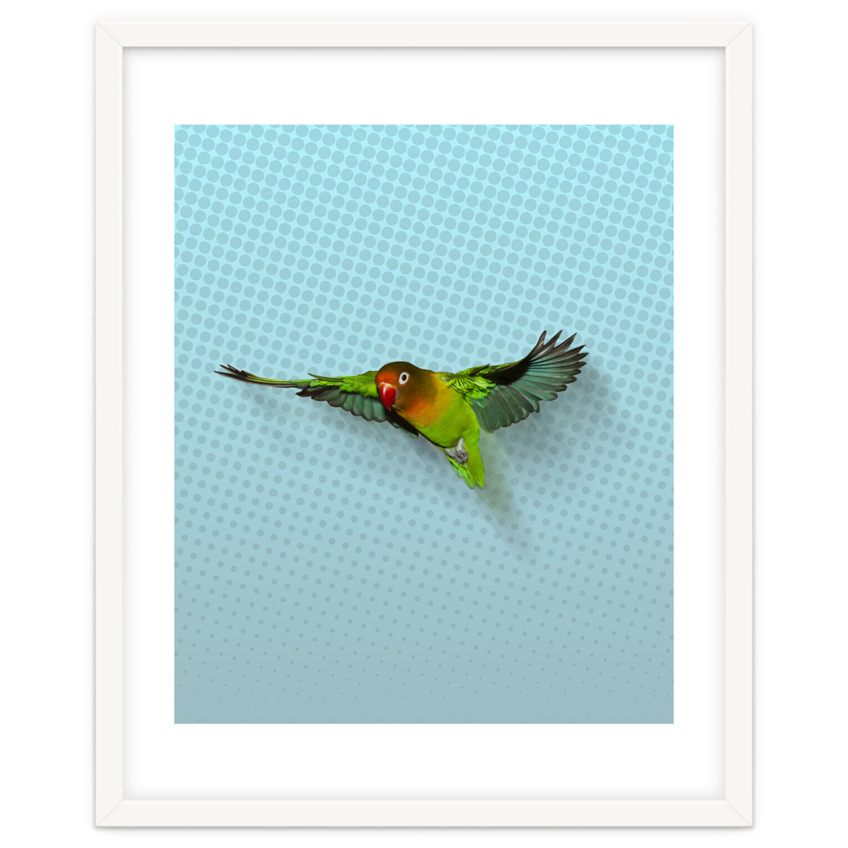Flying lovebird