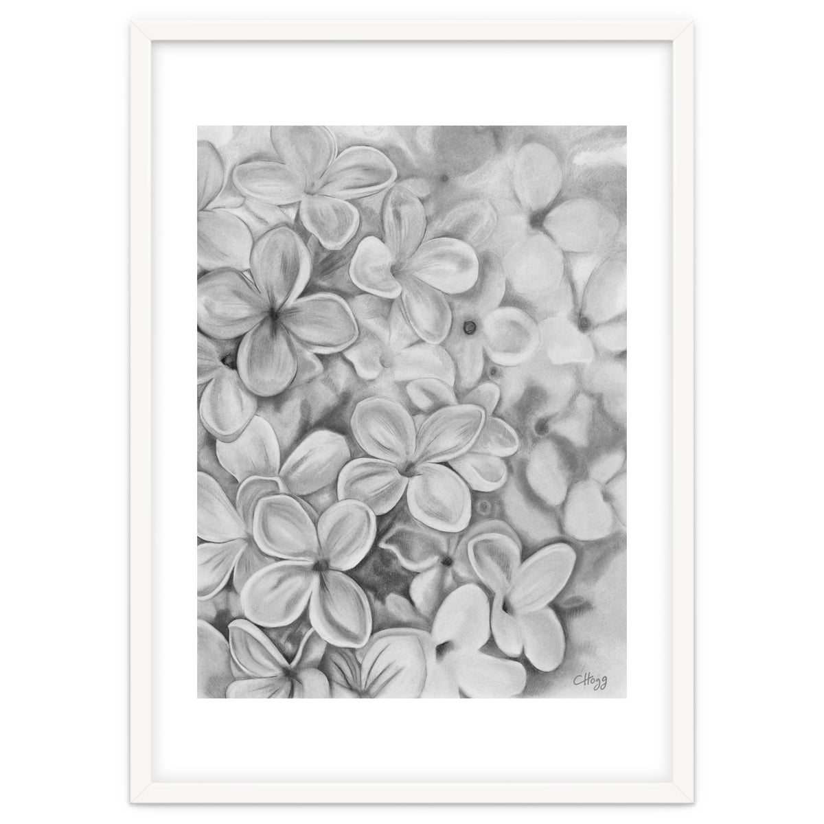 The Essence Of Spring in Monochrome