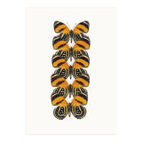 Cc Butterflies 07 (Print Only) thumbnail