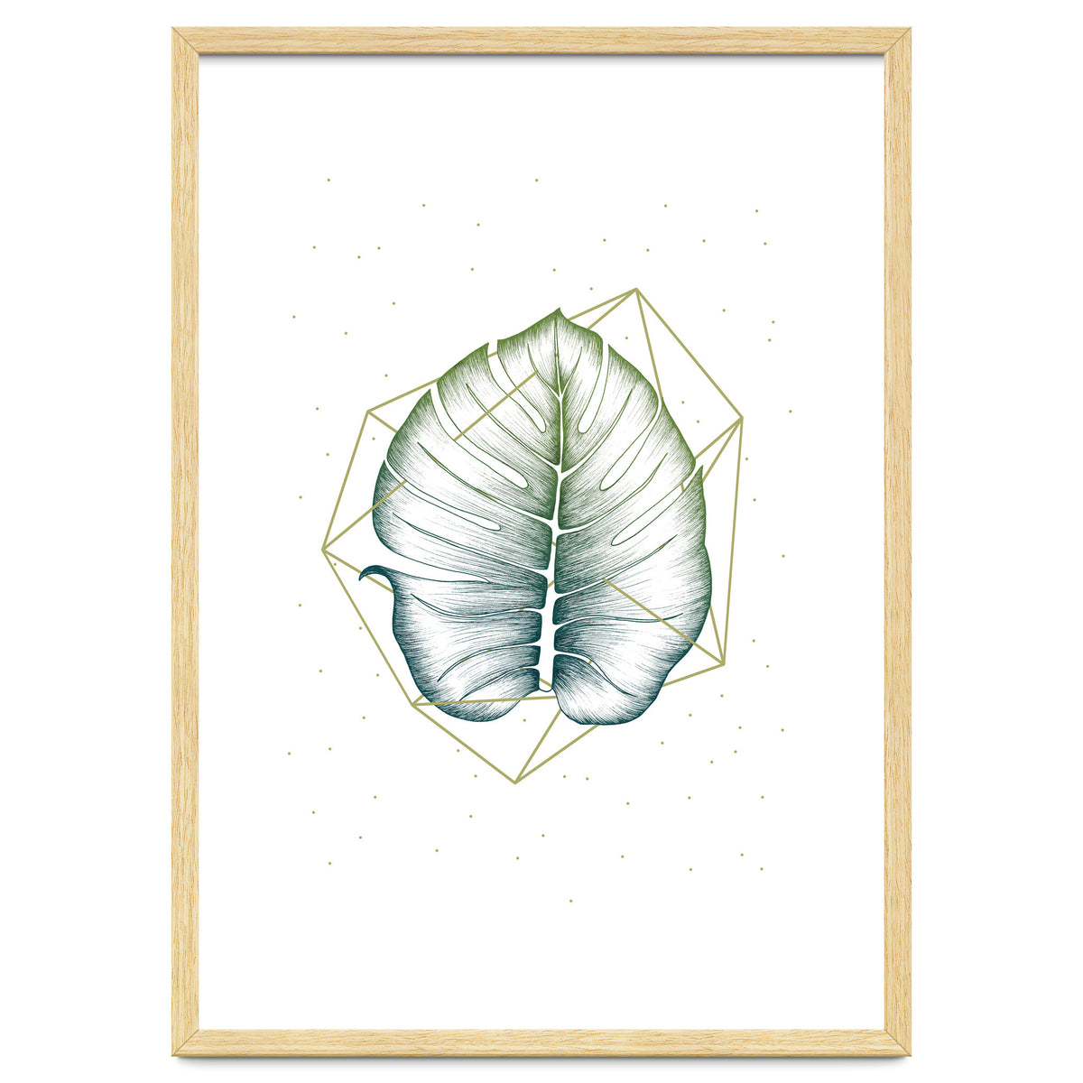 Geometry And Nature II