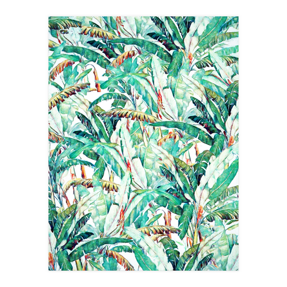 Banana Love (Print Only)