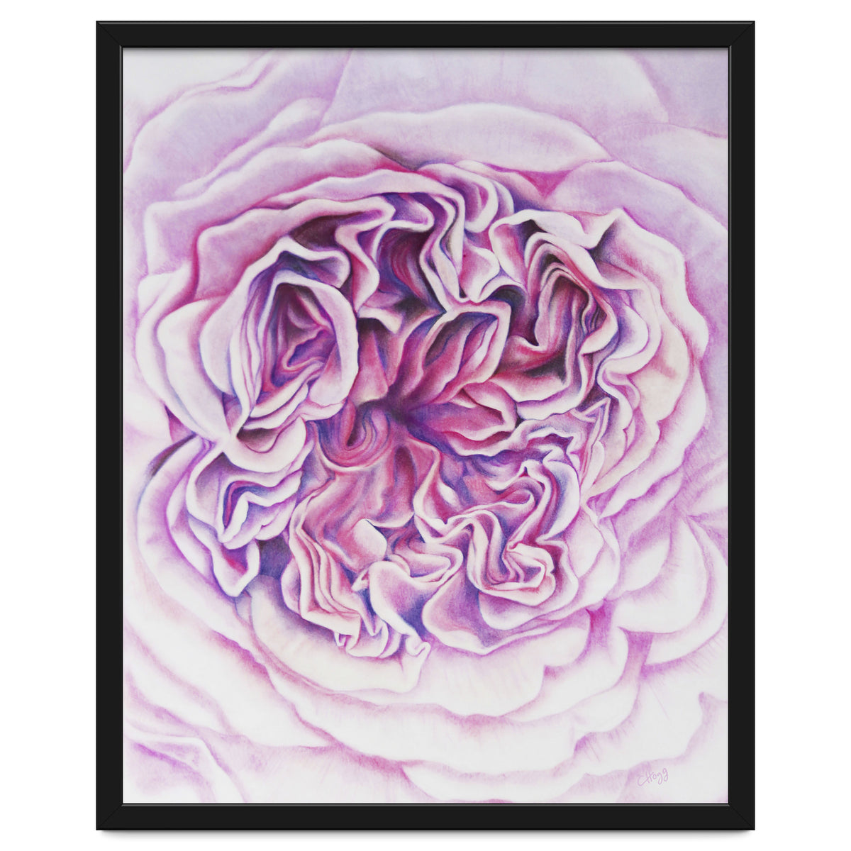 A Rose Is A Rose Std