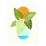 Tropical Symmetry II (Print Only) thumbnail
