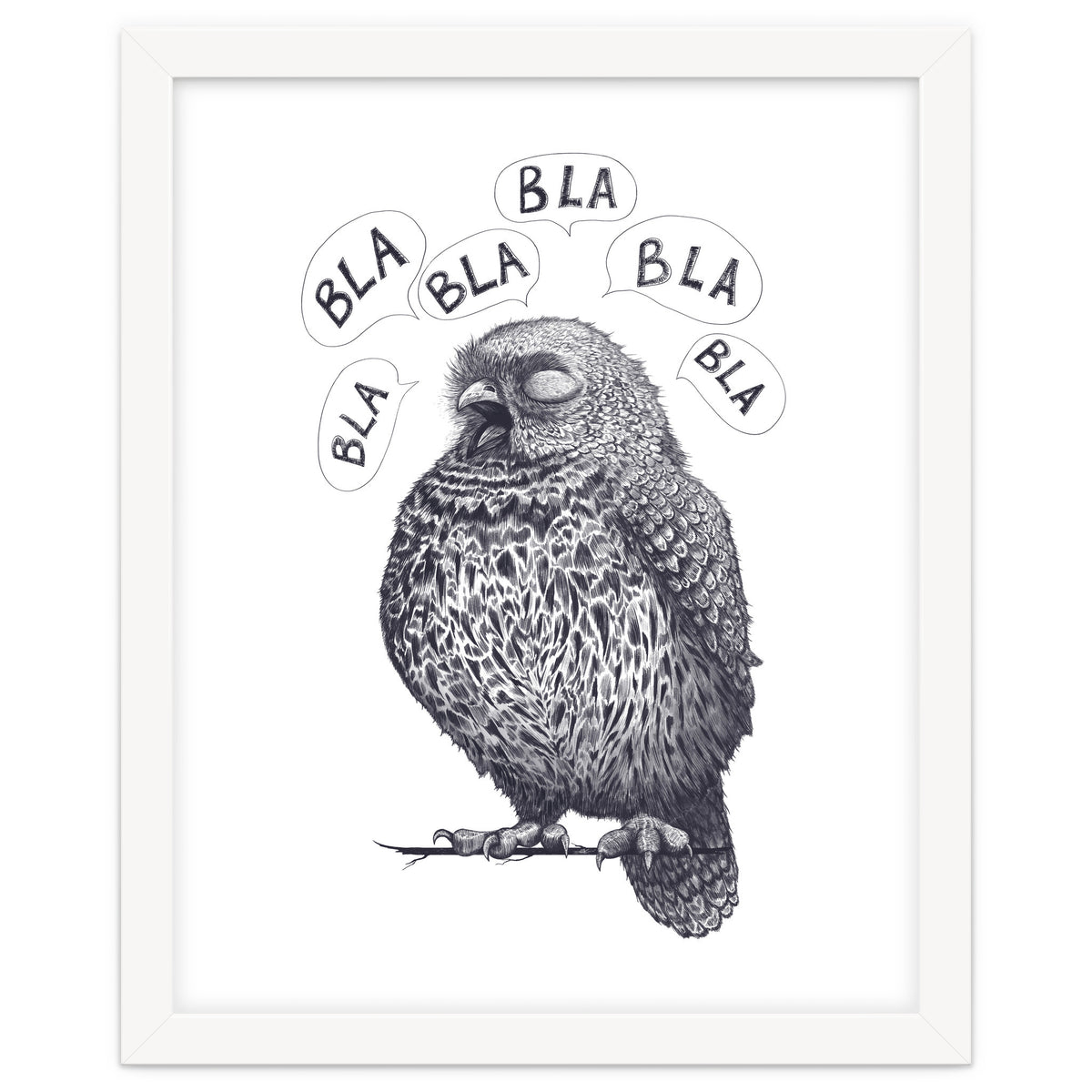 Owl Bla Bla Bla
