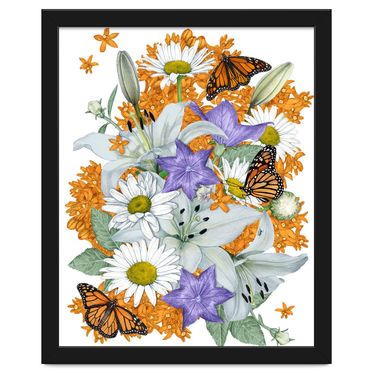 Lillies and Monarchs