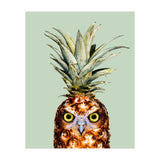 Pineapple Owl (Print Only) thumbnail