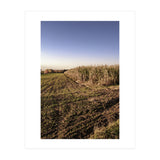 Bucolism 3 (Print Only) thumbnail