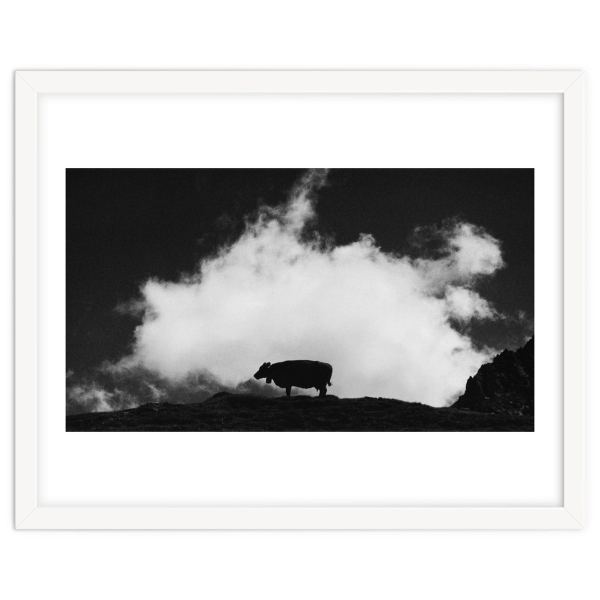 cow and cloud