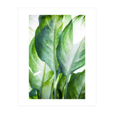 Tropic Abstract (Print Only) thumbnail