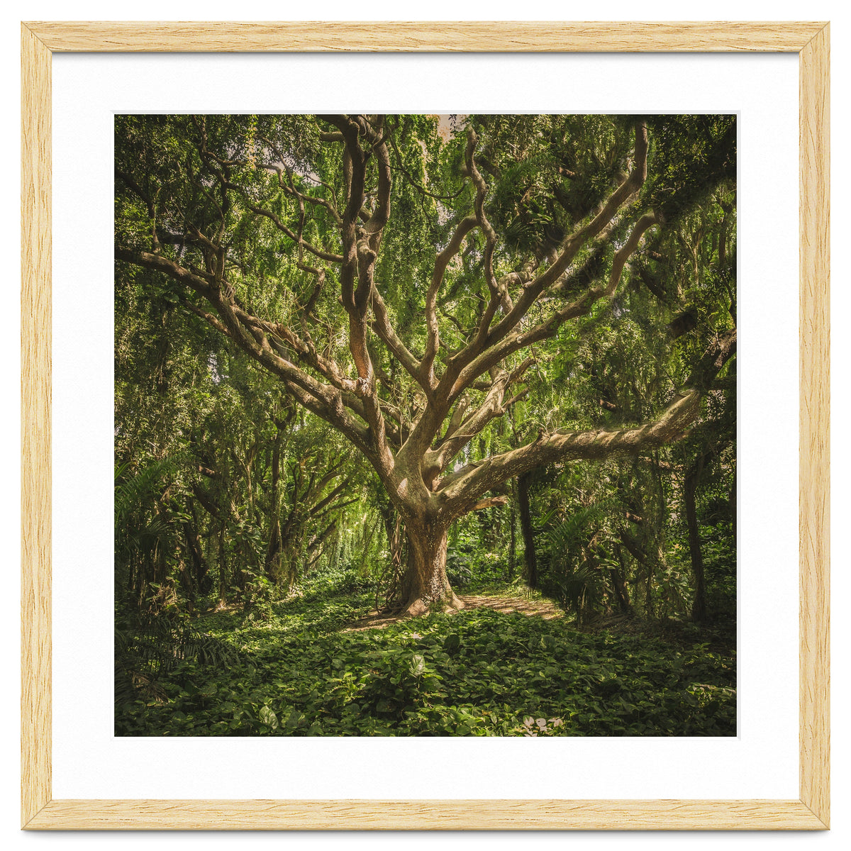 Spirits inside the wood