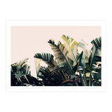 Paradise #4  (Print Only) thumbnail
