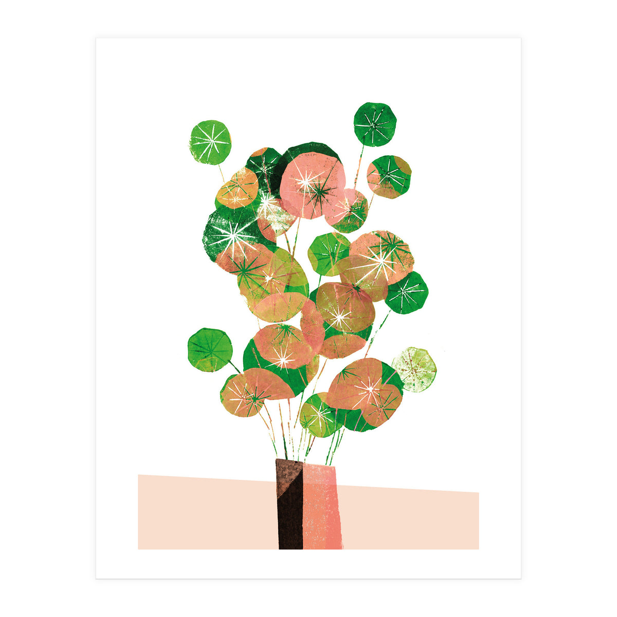 Pilea In Green And Coral (Print Only)