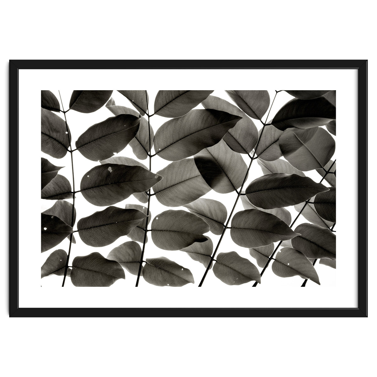 Branches and Leaves I