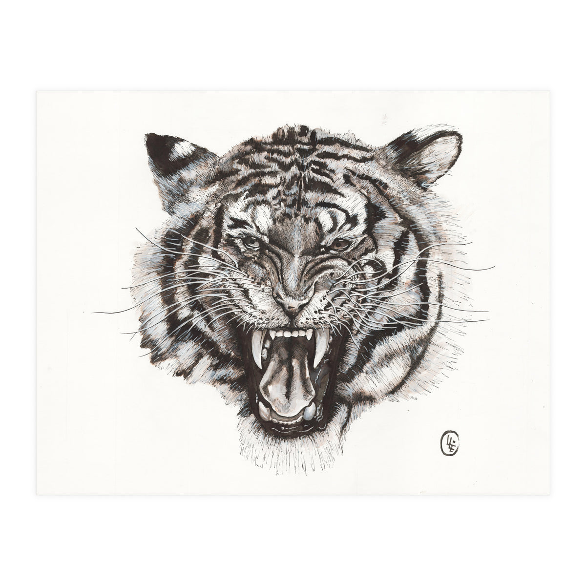 Tiger (Print Only)