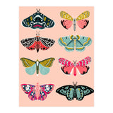 Lepidoptery No. 1 (Print Only) thumbnail