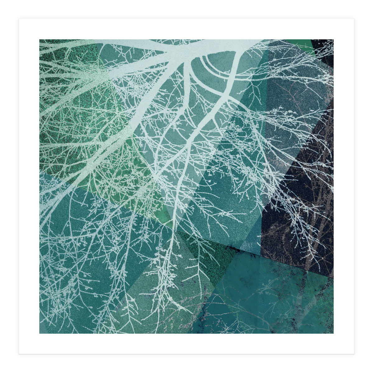 P19-E3 Trees and Triangles (Print Only)