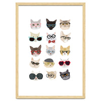 Cats in Glasses