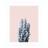 Cactus collection BL-III (Print Only) thumbnail