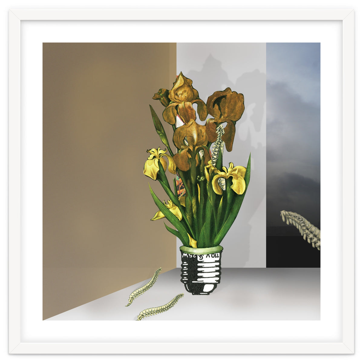 Das Licht Der Pflanze