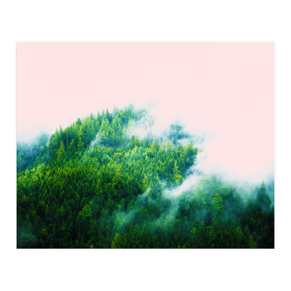 Into The Fog (Print Only)