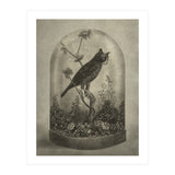 The Curiosity (Print Only) thumbnail