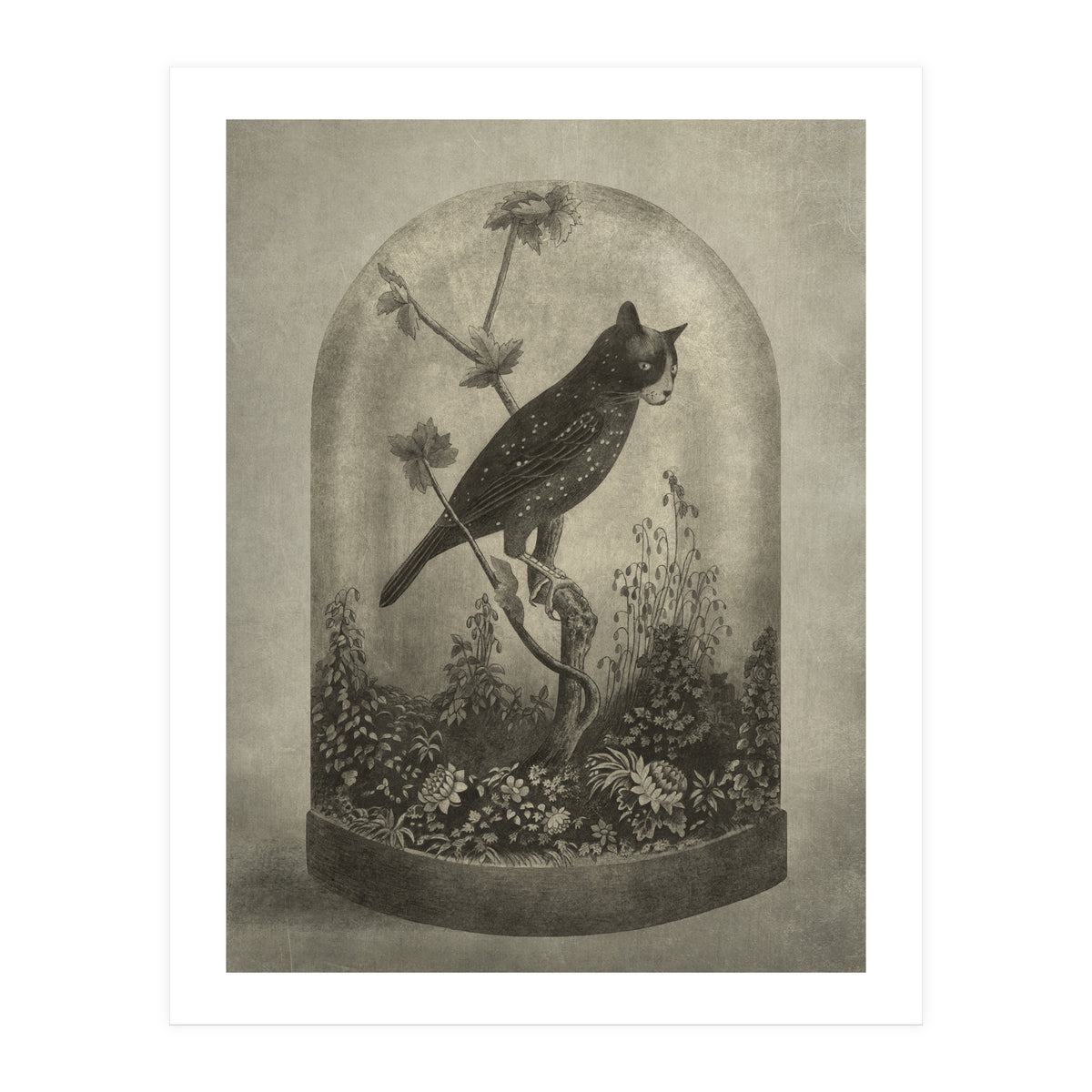 The Curiosity (Print Only)