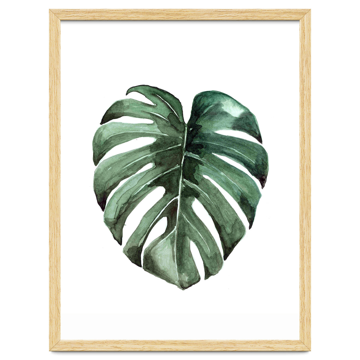 Botanical Illustration Monstera Deliciosa