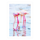 Flamingo Pink (Print Only) thumbnail