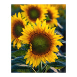 Summerflower (Print Only) thumbnail