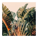 Hue (Print Only) thumbnail