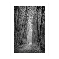 Forest path (Print Only)