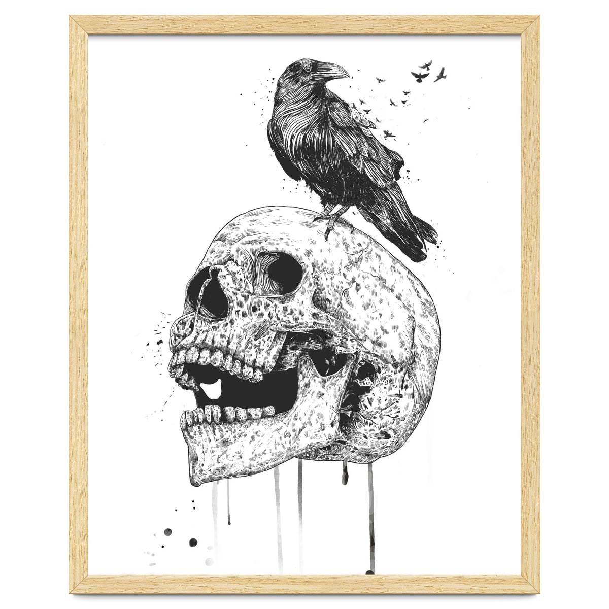 New Skull (bw)