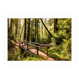Ewoldsen Trail Bridge  (Print Only) thumbnail