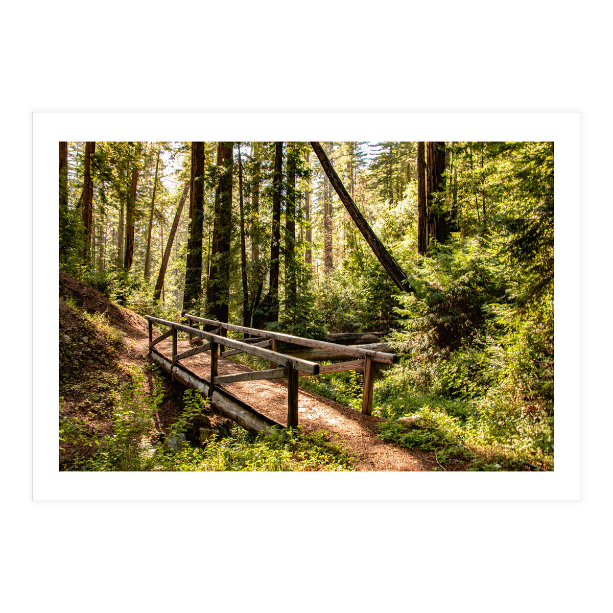 Ewoldsen Trail Bridge  (Print Only)