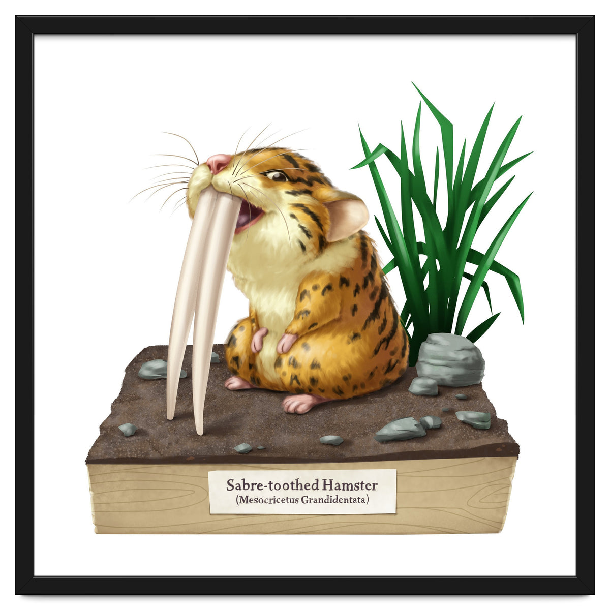 Saber-toothed Hamster