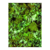 In Disguise (Print Only) thumbnail