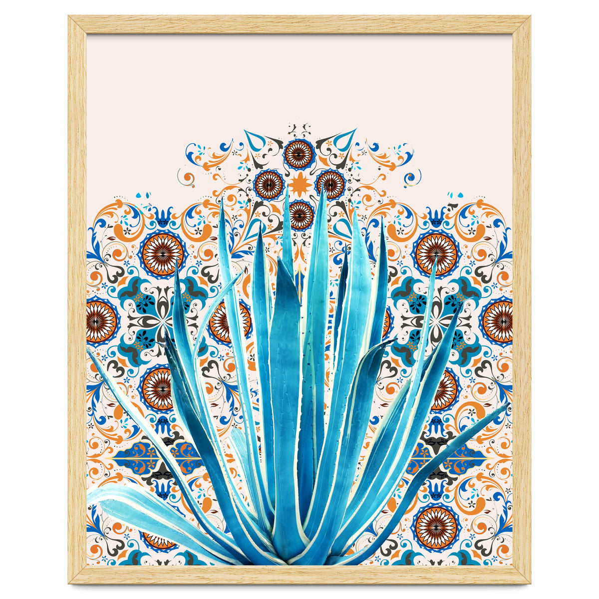 Cactus and Moroccan tiles