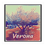 Olive Tree In Verona (Print Only) thumbnail