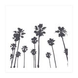 Palms & Sunset-Minimal B&W (Print Only) thumbnail